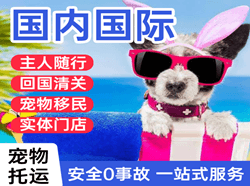 邵阳武冈机场快运国际宠物托运 【国